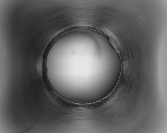 X0000088680580200706141356