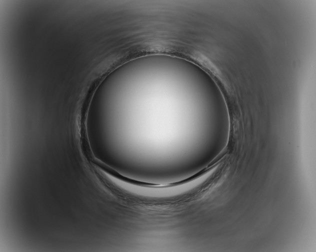 X0000088680581200706141356
