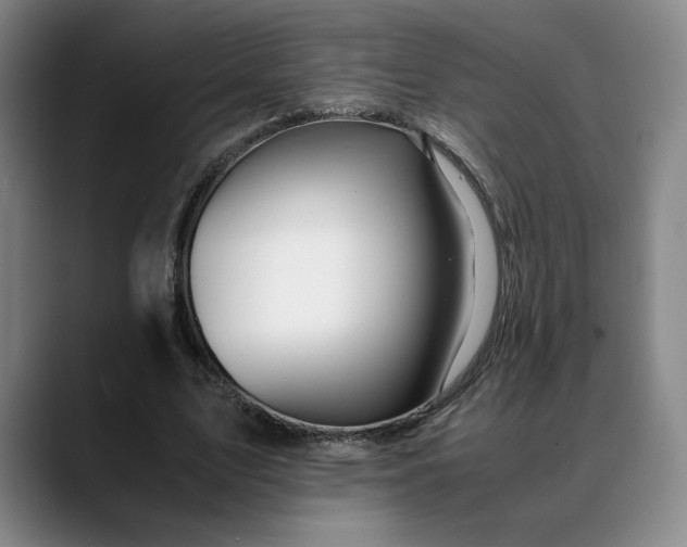 X0000088680583200706141356