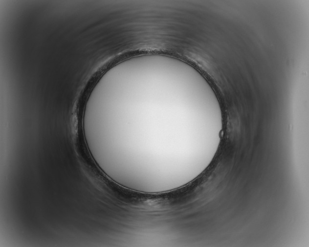 X0000088680584200706141356