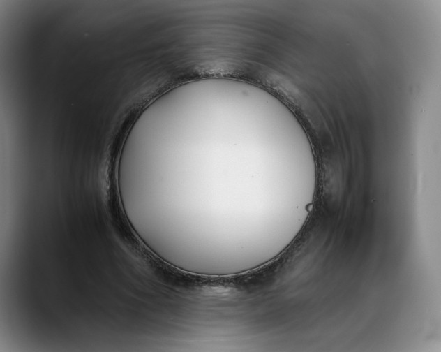 X0000088680586200706141356