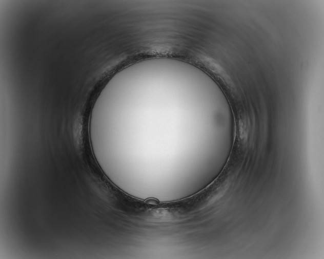 X0000088680588200706141356