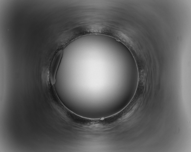 X0000088680589200706141356
