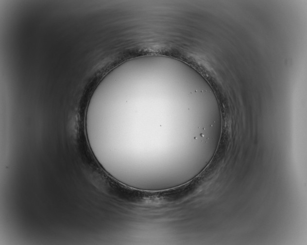 X0000088680591200706141356