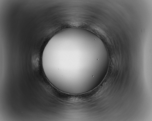 X0000088680596200706141356