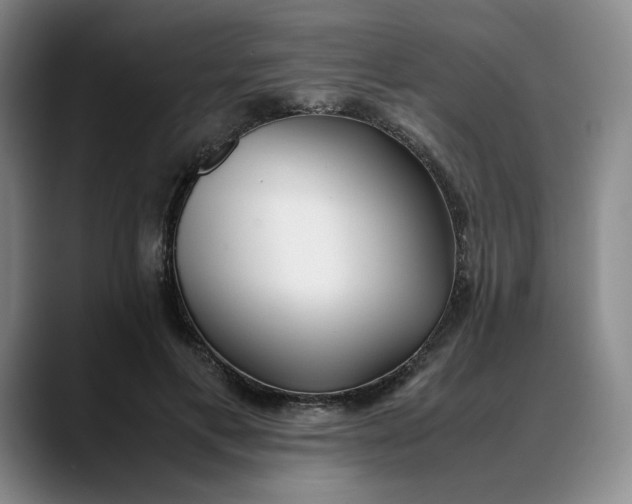 X0000088680597200706141356
