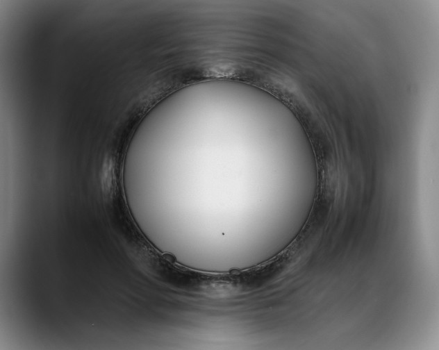 X0000088680598200706141356