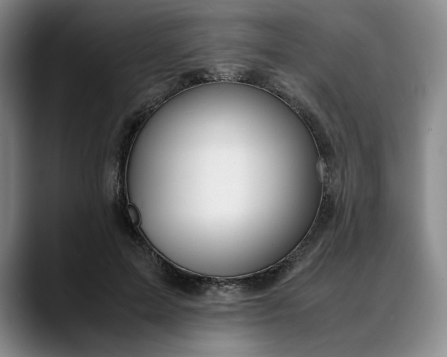 X0000088680599200706141356