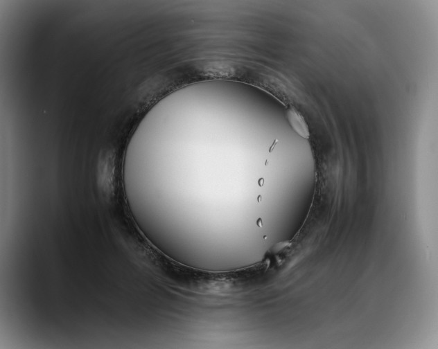 X0000088680600200706141356