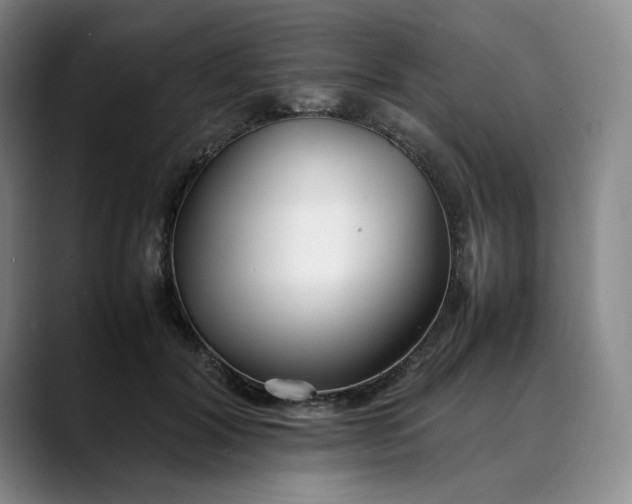 X0000088680604200706141356