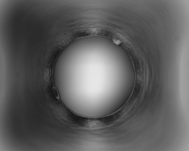 X0000088680605200706141356