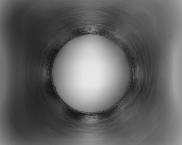 X0000088680606200706141356