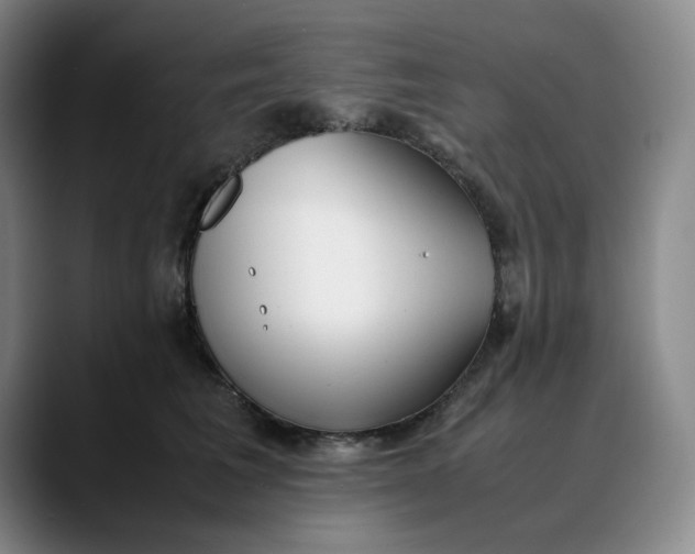 X0000088680613200706141355