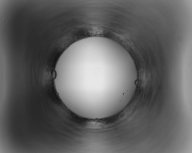 X0000088680614200706141355
