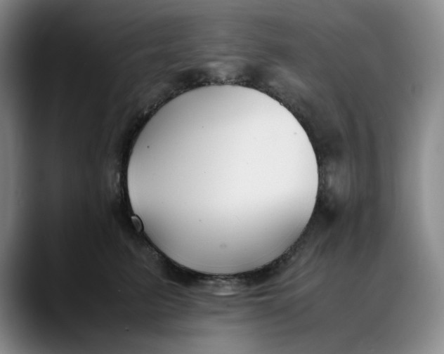 X0000088680615200706141355
