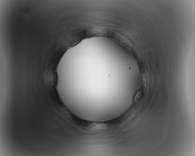 X0000088680617200706141355