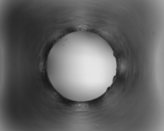 X0000088680619200706141355
