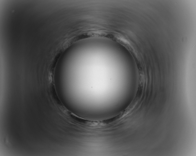 X0000088680621200706141355