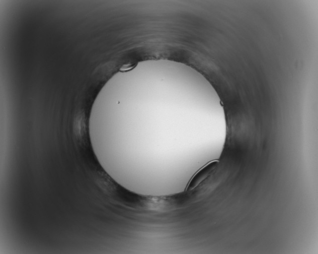 X0000088680623200706141355