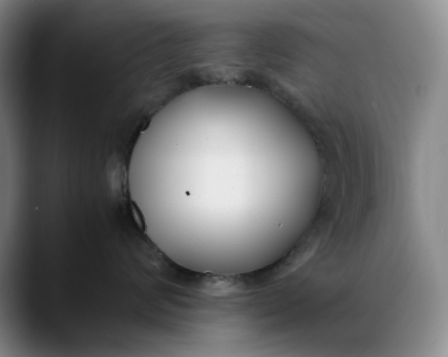 X0000088680624200706141355