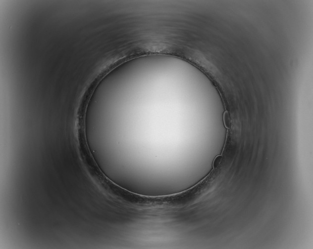 X0000088680626200706141355