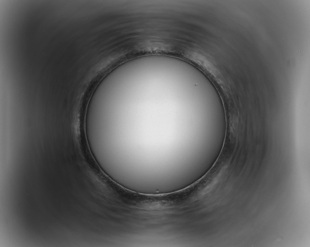 X0000088680629200706141355