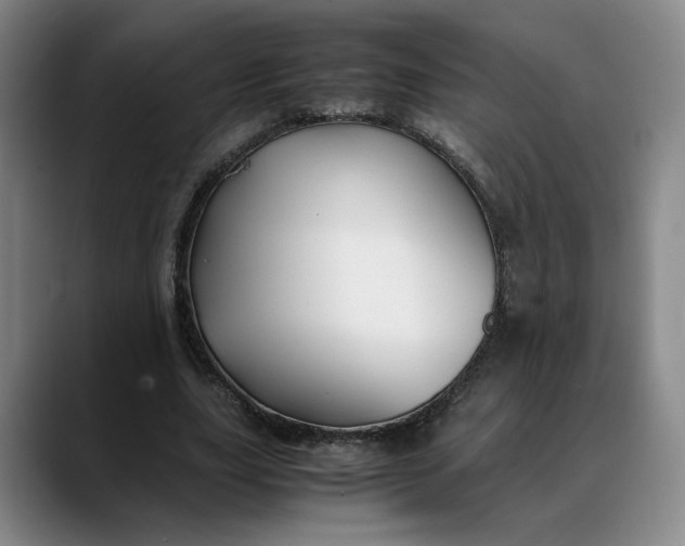 X0000088680631200706141355