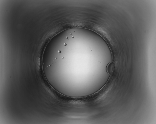 X0000088680633200706141355