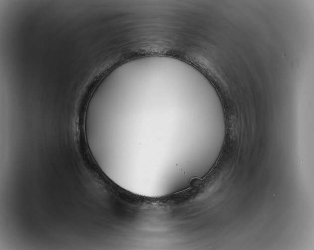 X0000088680634200706141355