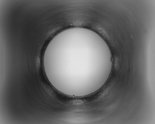 X0000088680636200706141355