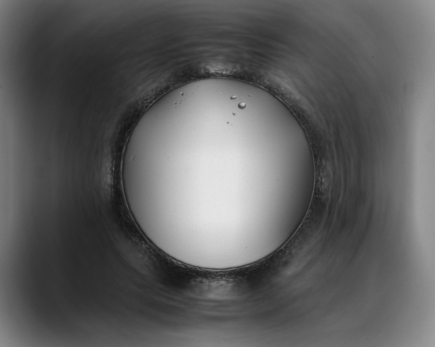 X0000088680639200706141355