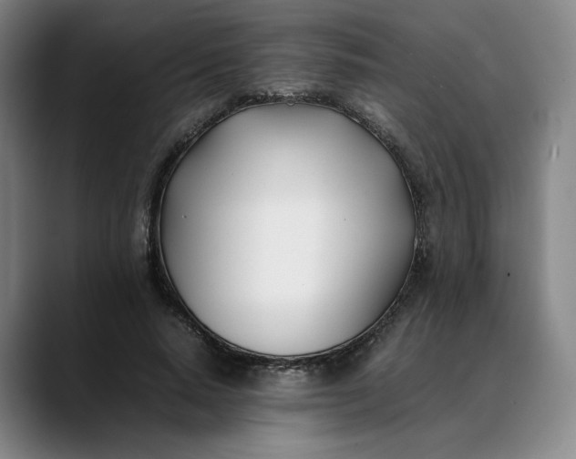 X0000088680640200706141355