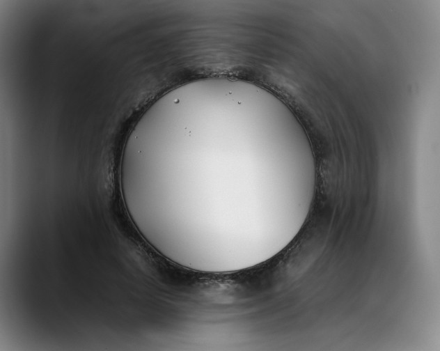 X0000088680642200706141355