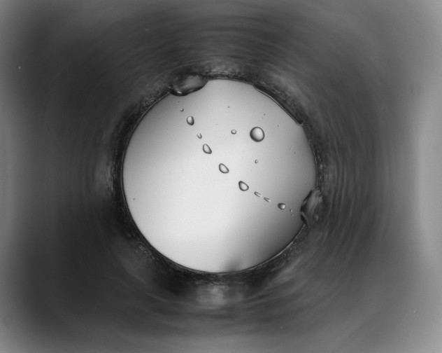 X0000088680643200706141355