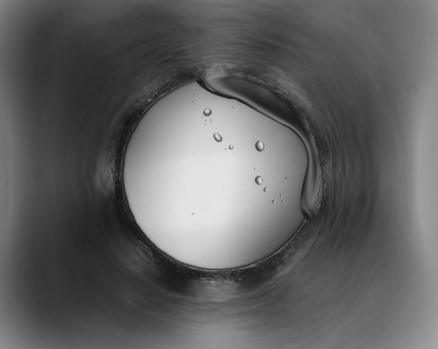 X0000088680644200706141355