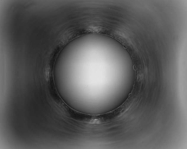 X0000088680647200706141355