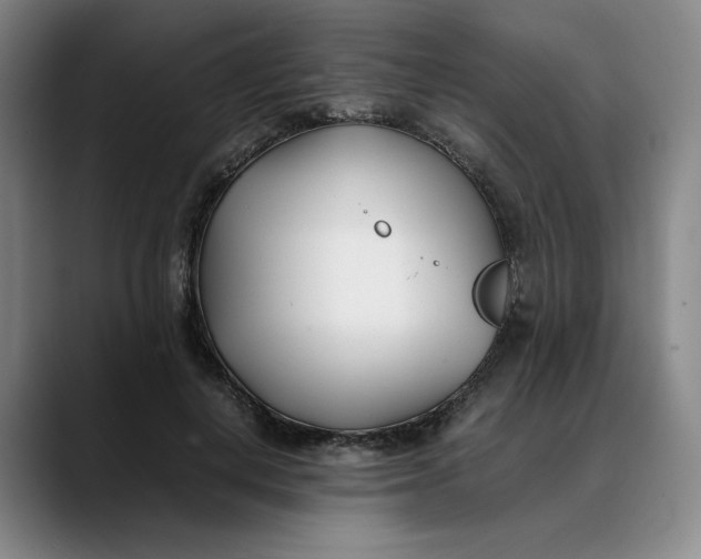 X0000088680648200706141355
