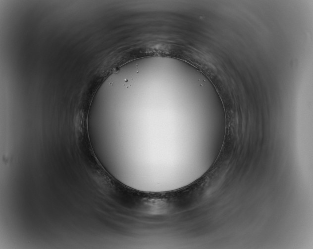 X0000088680649200706141355