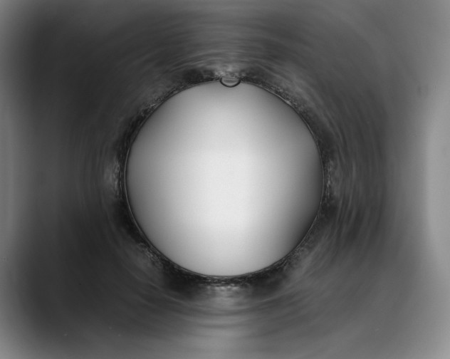 X0000088680650200706141355