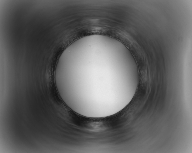 X0000088680653200706141355