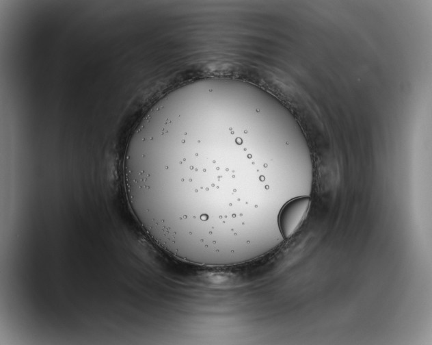 X0000088680654200706141355