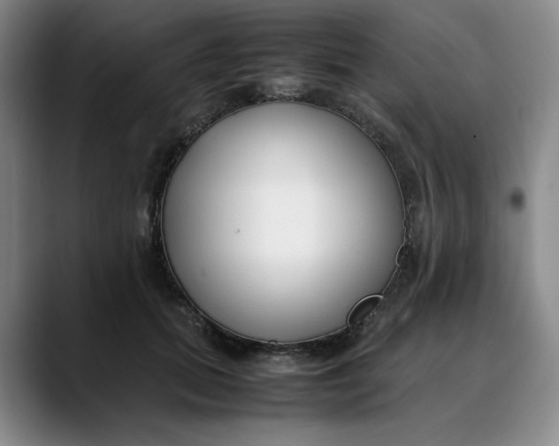 X0000088680655200706141355