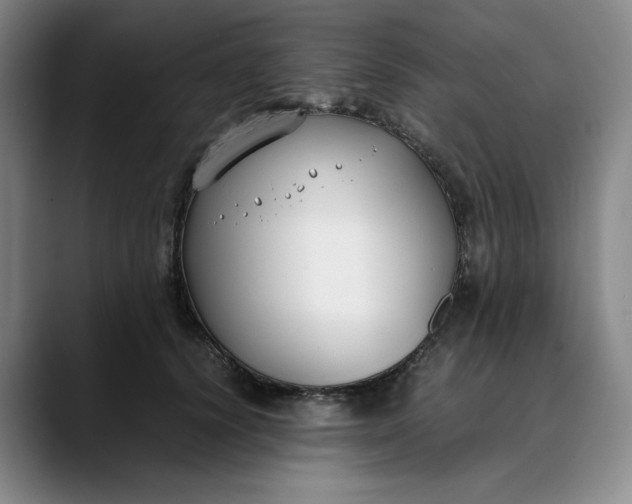 X0000088680656200706141355