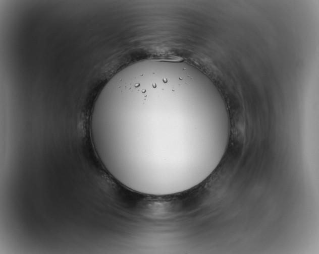 X0000088680658200706141355