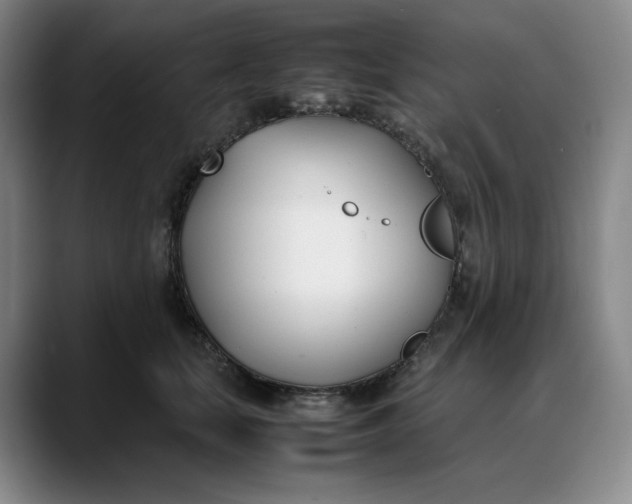 X0000088680659200706141355