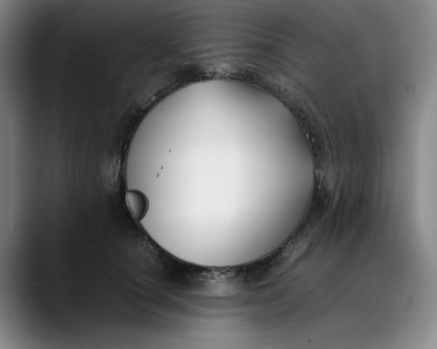 X0000088680660200706141355