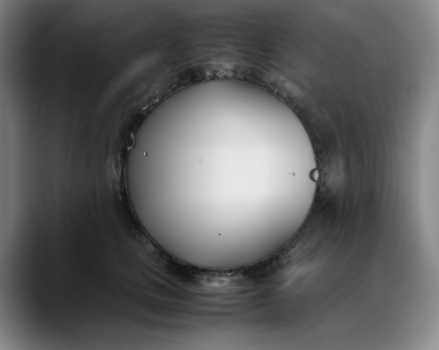 X0000088680661200706141355
