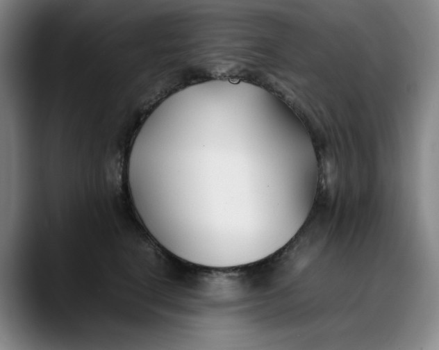 X0000088680664200706141355