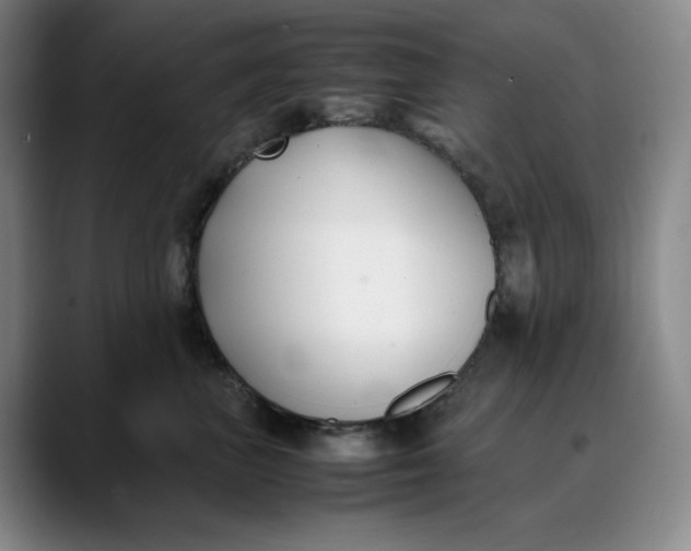 X0000088680667200706141355