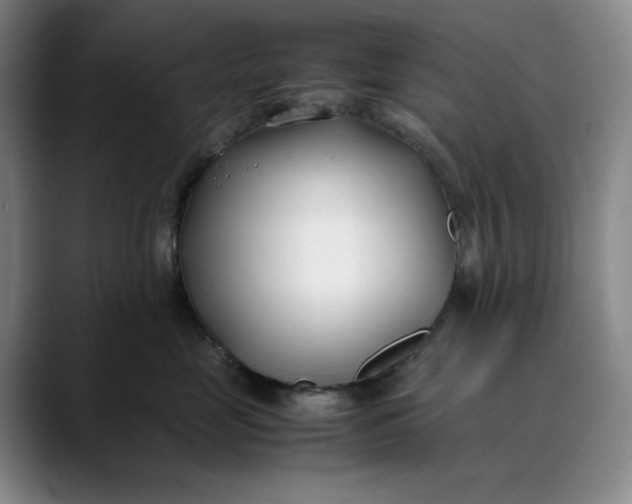 X0000088680669200706141355